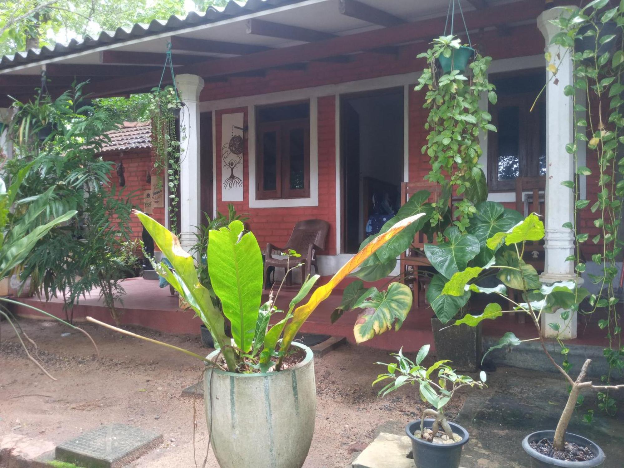 Angry Birds Homestay 哈伯勒内 客房 照片